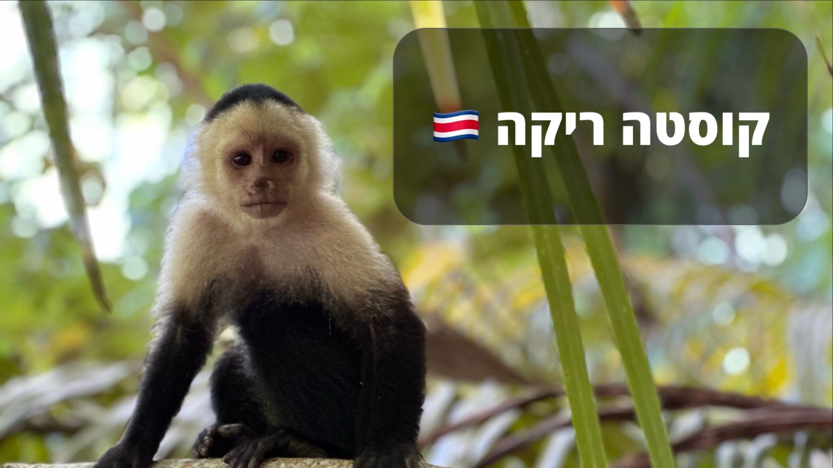 קוסטה ריקה ל-נוודים&nbsp;דיגטליים