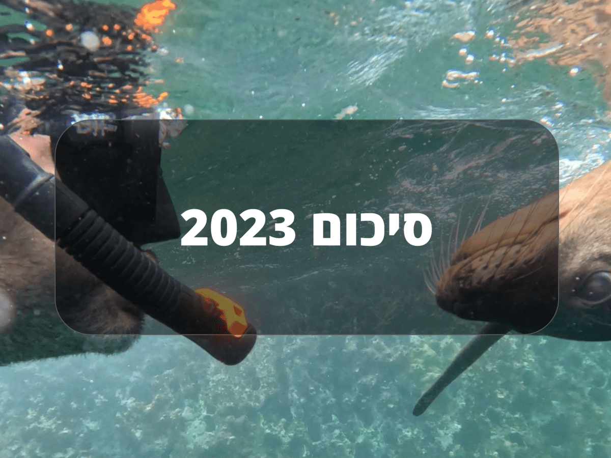 סיכום 2023