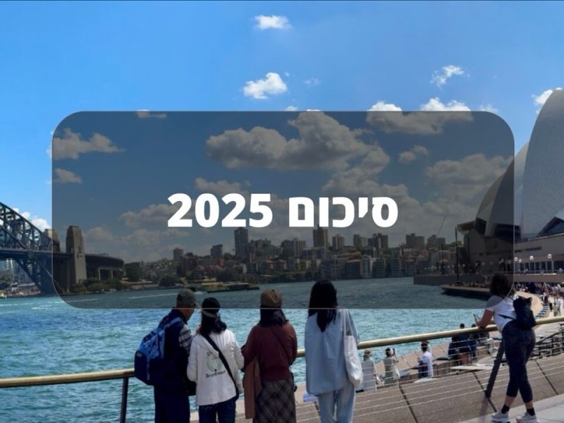 סיכום 2025